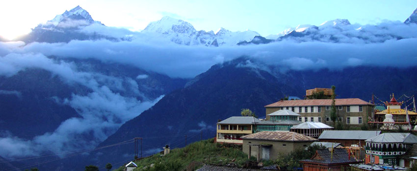 tempo traveller in shimla